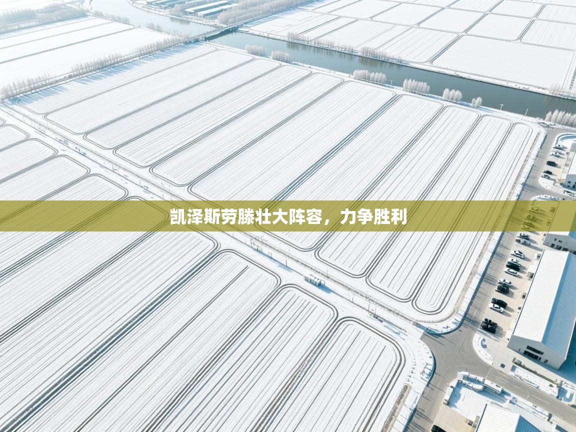 凯泽斯劳滕壮大阵容，力争胜利