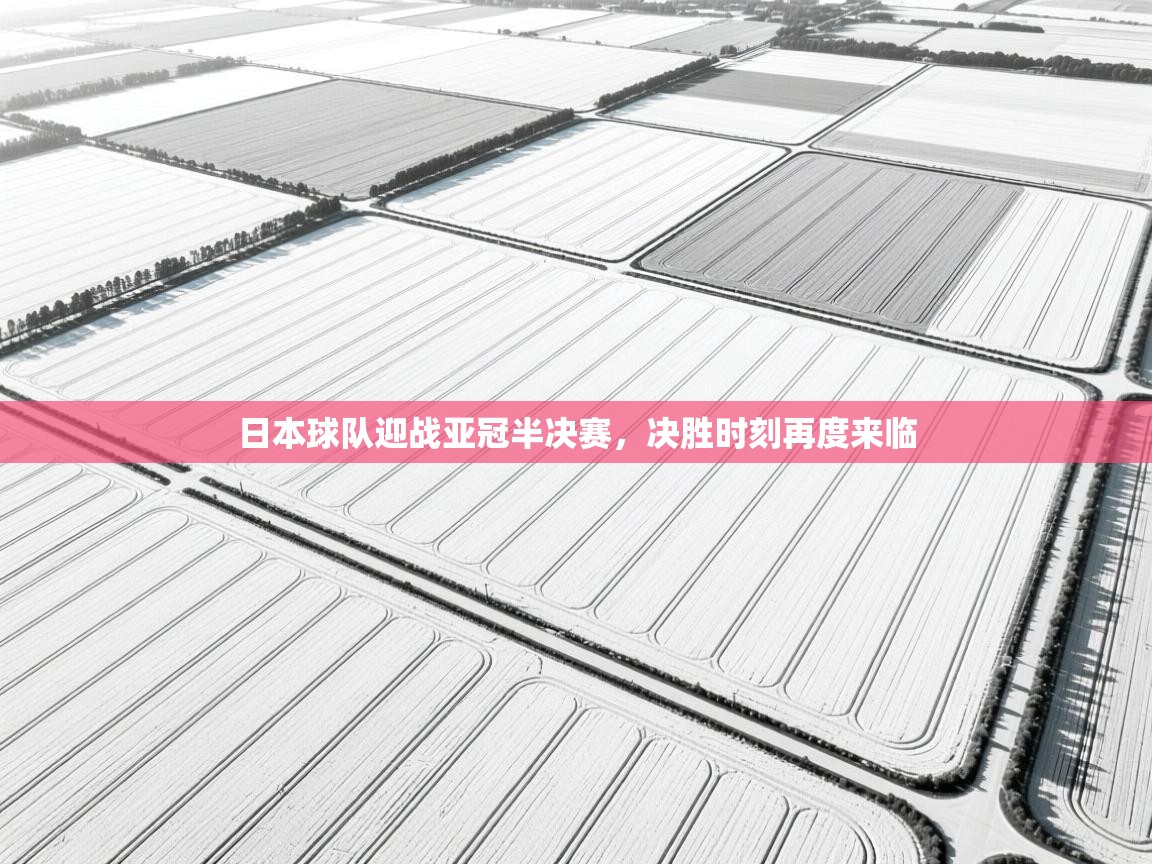 日本球队迎战亚冠半决赛，决胜时刻再度来临  第2张