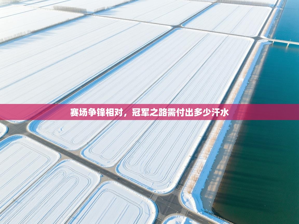 赛场争锋相对,冠军之路需付出多少汗水 第1张