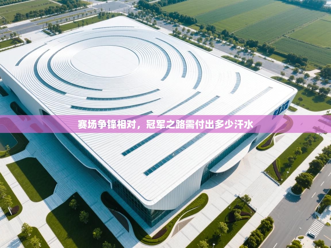 赛场争锋相对,冠军之路需付出多少汗水 第2张